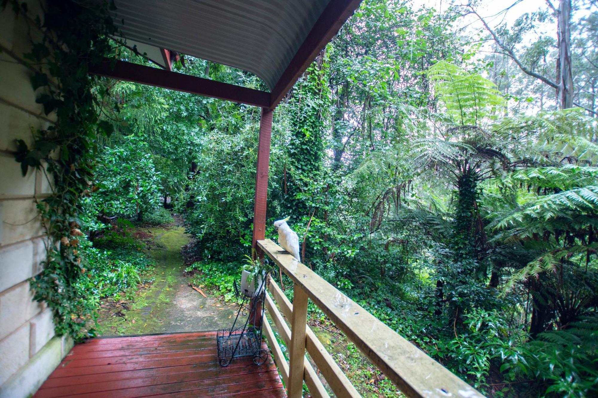 The Fernglen Forest Retreat Mount Dandenong Kültér fotó