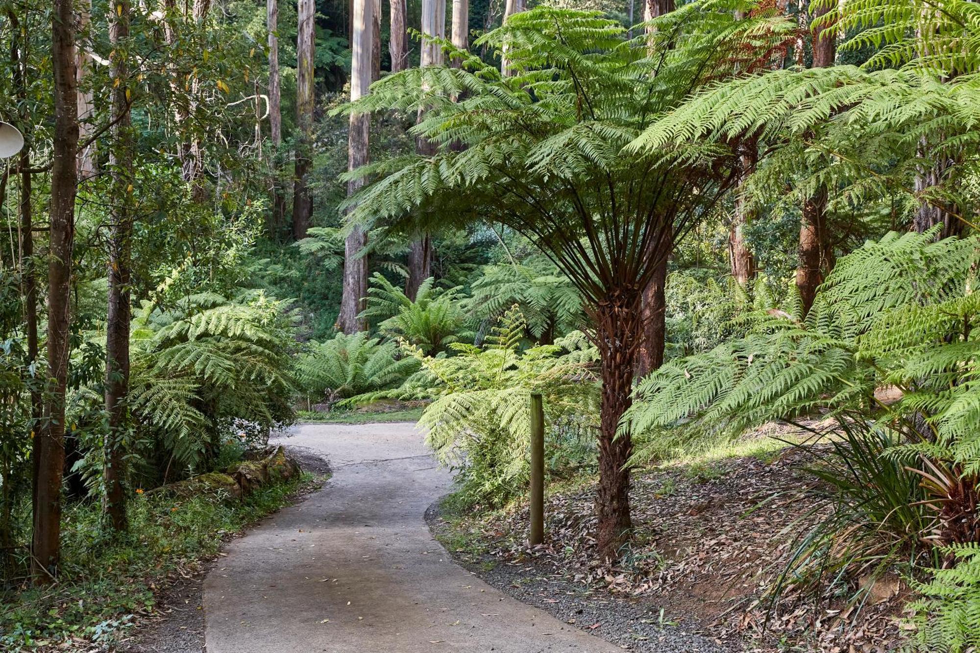 The Fernglen Forest Retreat Mount Dandenong Kültér fotó