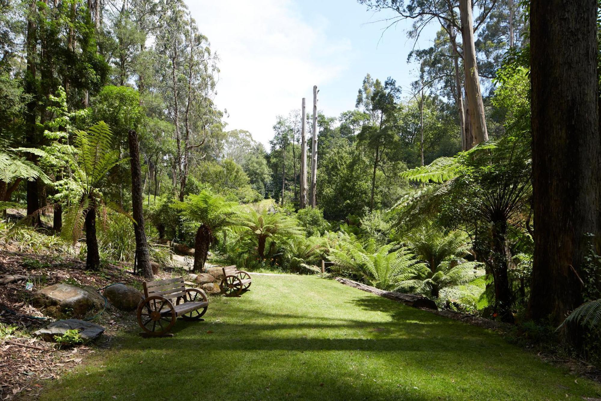 The Fernglen Forest Retreat Mount Dandenong Kültér fotó